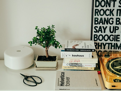 Books and a bonsai tree on a desk